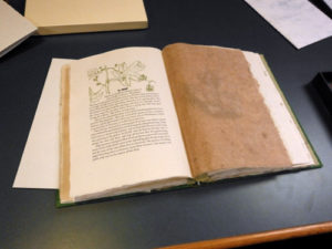 "Paper from Plants" by Peter and Donna Thomas