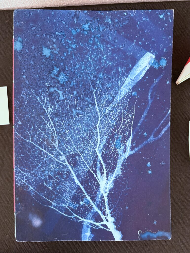 Artist book - Cyanoprint Experiments #1 by Deborah Stuart