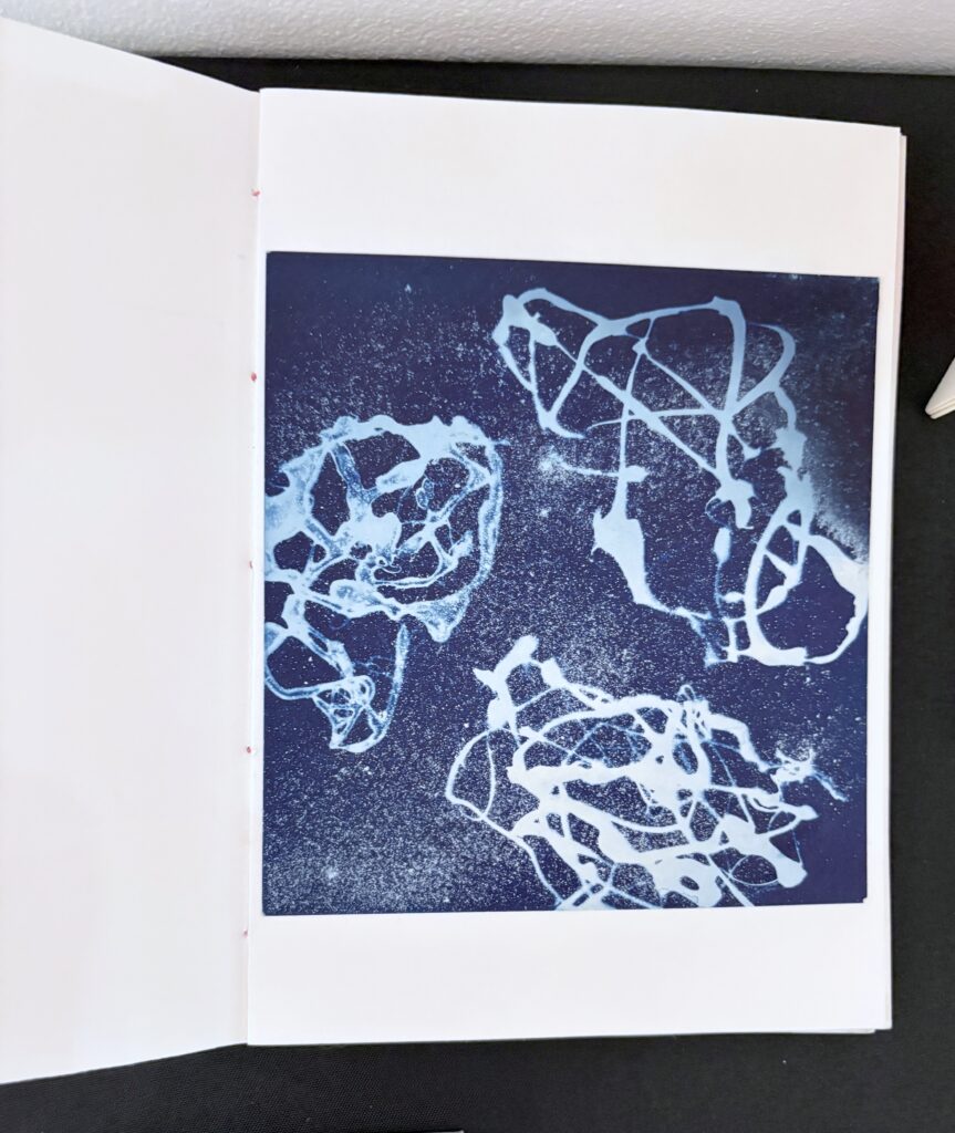 Artist book - Cyanoprint Experiments #1 by Deborah Stuart