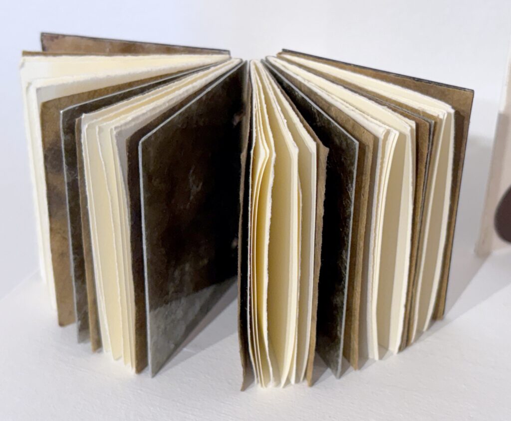 Artist book - For the Birds by Carole McNamee