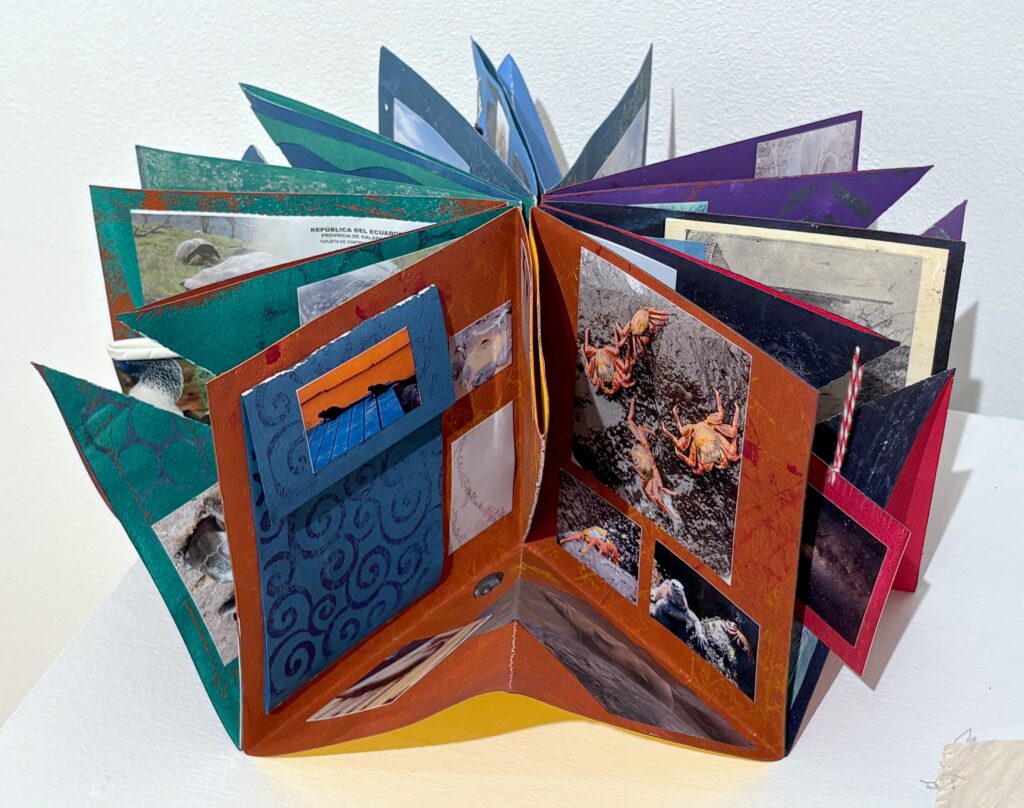 Artist book - Galapagos Travel Journal by Susan Marsh