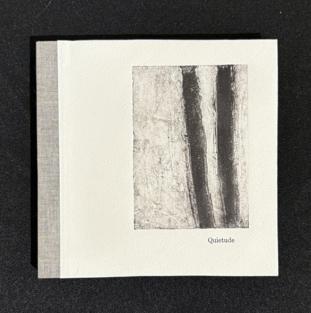 Artist book - by Jane Ploughman