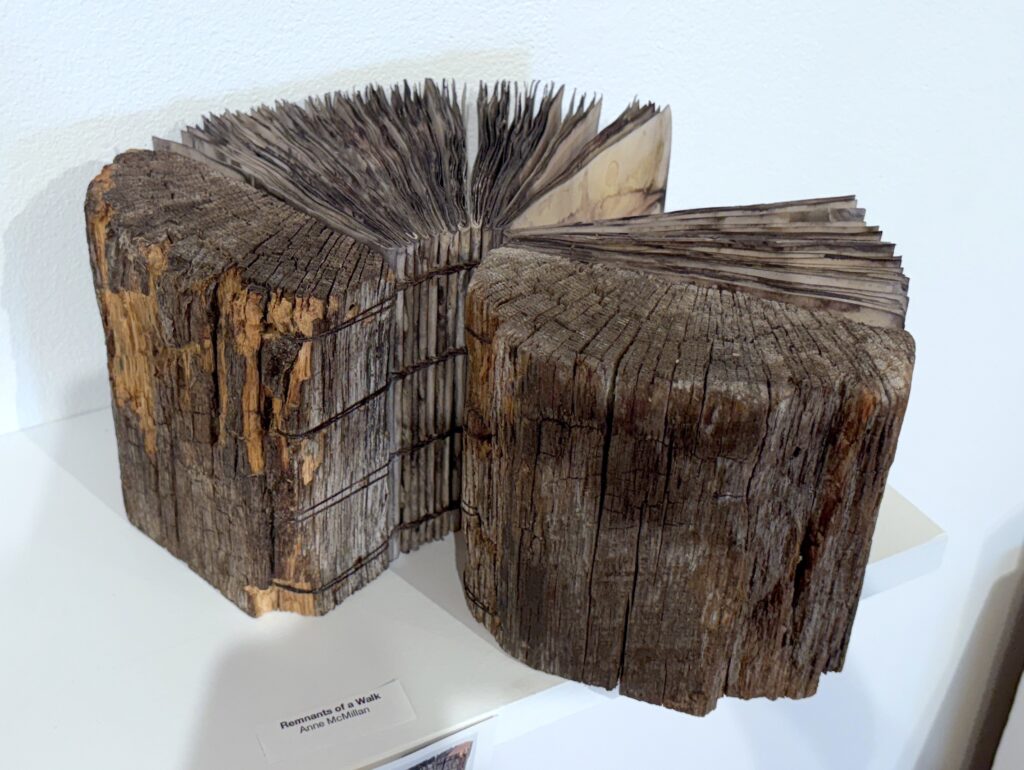 Artist book - Remnants of a Walk by Anne McMillan